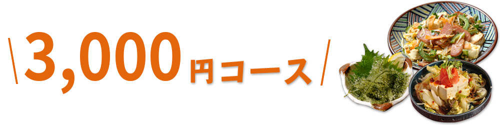 3,000円コース